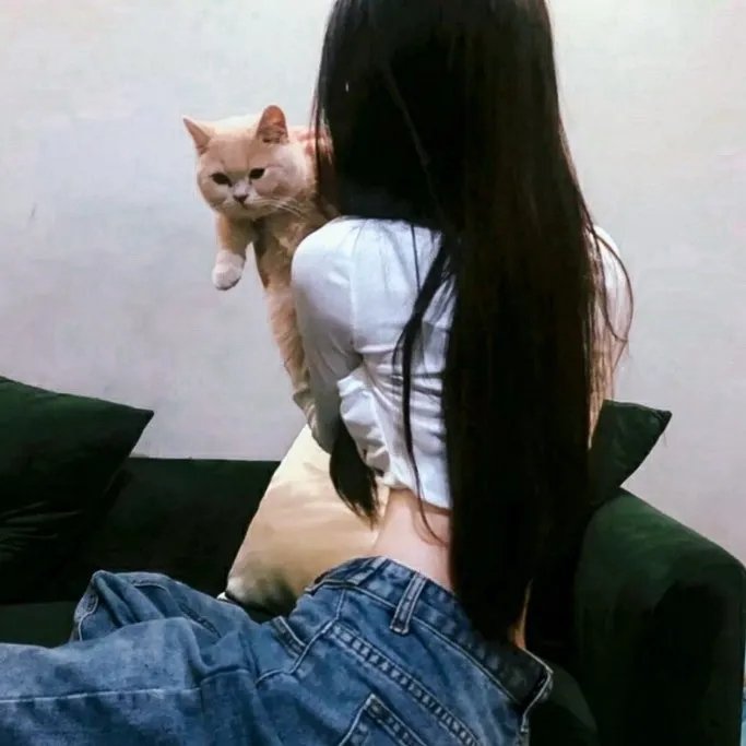 如月车站